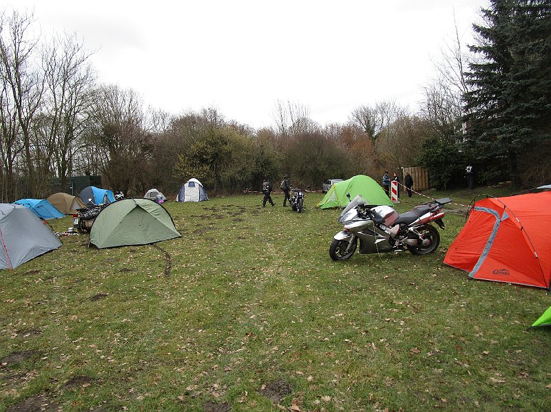 2018.03.17 Grizzly (151).JPG